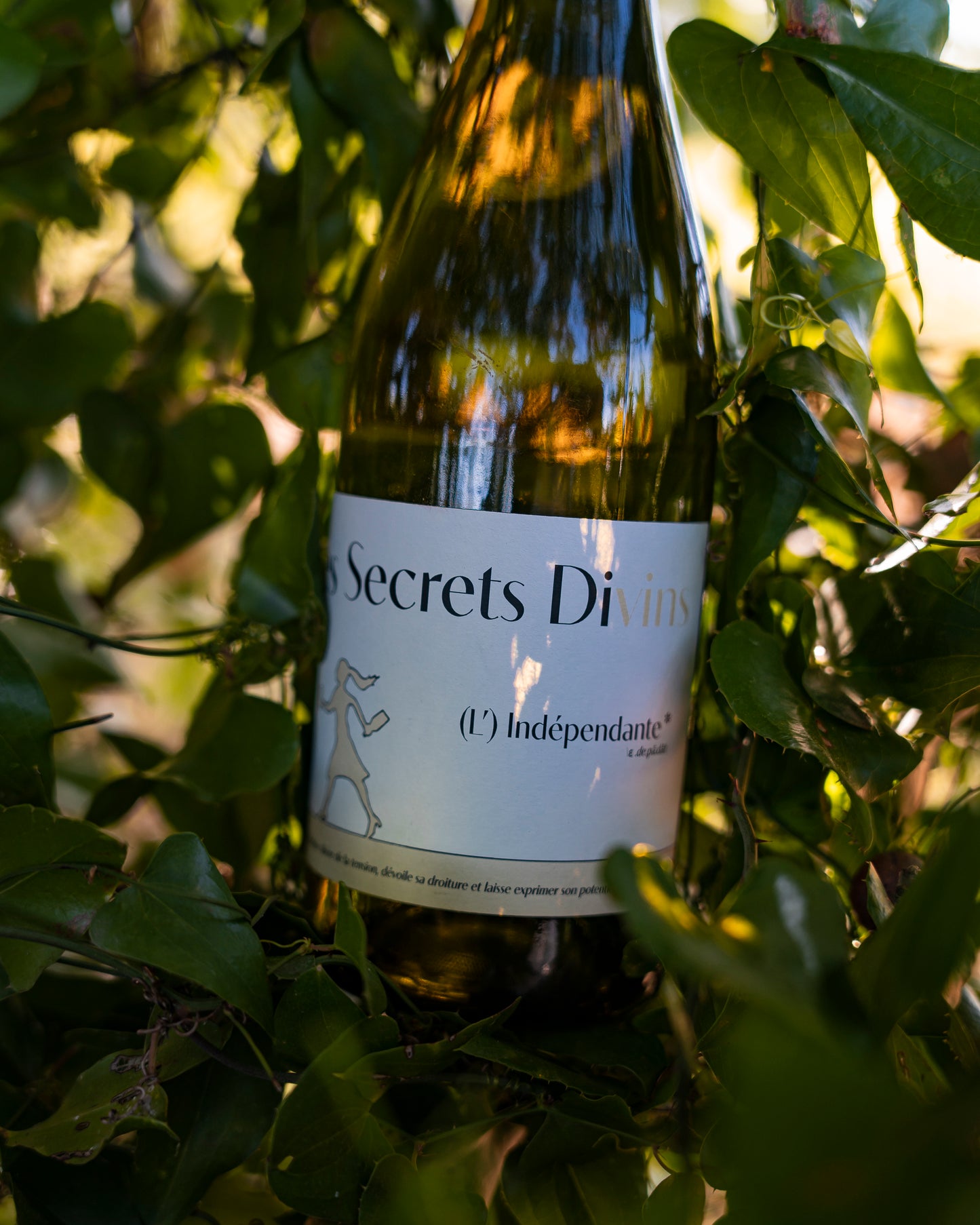 Vin Blanc Sec Languedoc - Les Secrets Divins