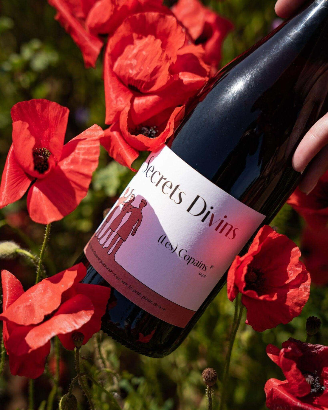 Vin rouge fruité et léger, aux notes de fruits rouges et épices